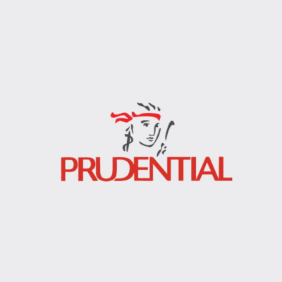 Partner Logo 29